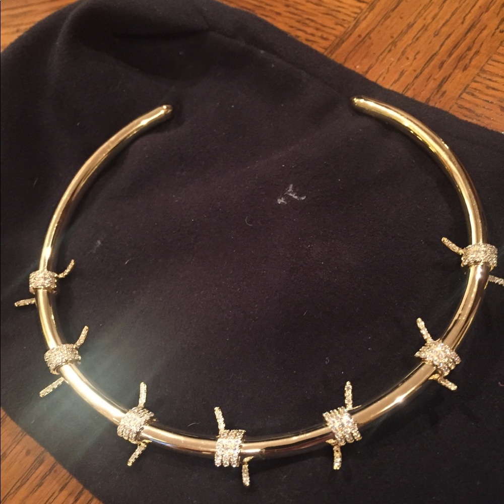 Fallon barbed wire choker/collar